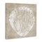 Stupell Industries Rustic Distressed Seashell Canvas Wall Art Design by Carol Robinson
